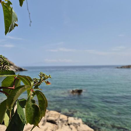 Beach Apartment Palaiontsiflikion Bagian luar foto